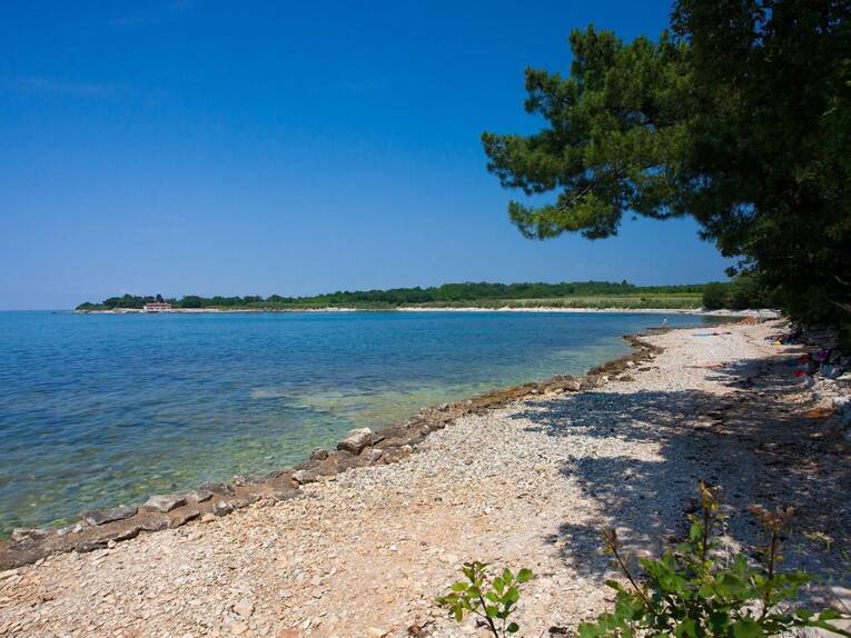 Camping Camp Kastanija *** photo 7 Istrie Tohapi